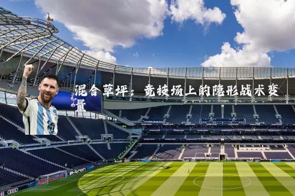 混合草坪：竞技场上的隐形战术变量